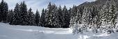 Immagini di sci nordico dalle piste dei Piani di Bobbio, di Schilpario e di Zambla (inverno 2010) - FOTOGALLERY